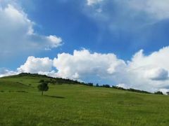 -塞罕坝国家级自然保护区