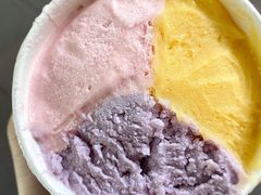 -Dip in Gelato(富民路店)