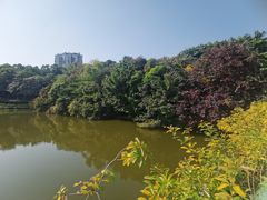 -深圳国际园林花卉博览园