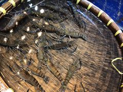 -79号渔船海鲜饭店(华强北店)