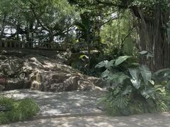 -乌山风景区