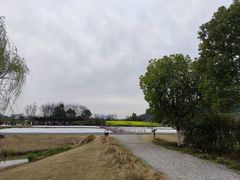 -径山花海