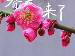 -静安雕塑公园