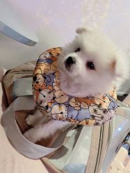 -Halo美甲美睫