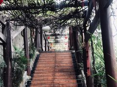 门面-陈麻婆豆腐总店