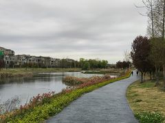 -两河城市森林公园