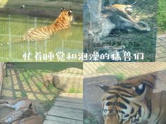 -上方山森林动物世界