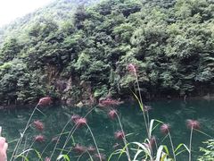 -浙西大龙湾