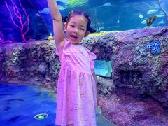 -沈阳海洋探索中心