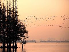 景点-东湖落雁景区