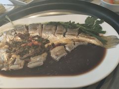 -苏大嘴蒸汽海鲜·海胆蒸饺(中山广场店)
