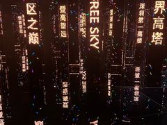 -平安金融中心云际观光层