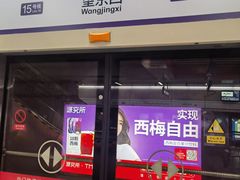 -望京西(地铁站)