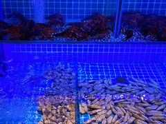 -義聚德·清真铜锅涮羊肉·烧烤(河东店)