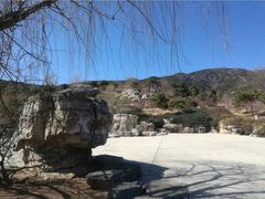 -北京西山国家森林公园