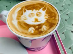-喵屿·大理花园猫咖
