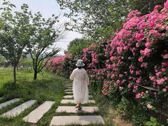-太阳宫公园