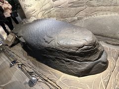 -白鹤梁水下博物馆