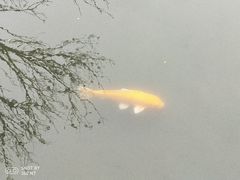 -咸宁万豪温泉谷度假区