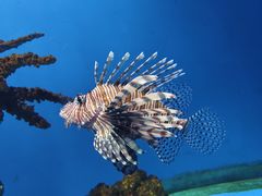 -海合安武汉极地海洋公园