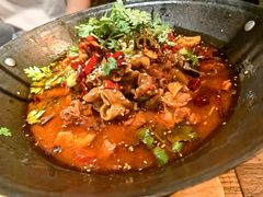 -并州大牌档之醉轻尘