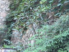 -乡党臊子面(丰庆公园店)