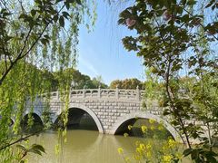 -南汇桃花村