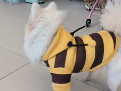 -怪兽屋·羊驼·猫咖·狗咖(俊华广场店)