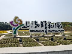 -上海鲜花港