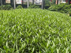 -九江双蒸博物馆