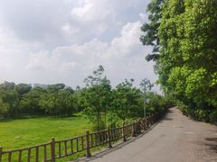 -贵阳市花溪国家城市湿地公园
