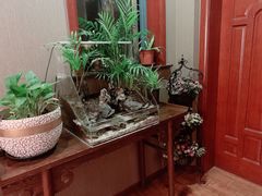 -莱蔻·圣灸堂·推拿艾灸(天山店)