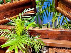 -八月美食小馆(周村太和路店)