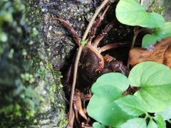 -宁波五龙潭景区