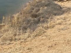 -黄沙古渡原生态旅游区