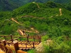 -大岭沟猕猴桃谷风景区