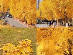 -四川大学(华西校区)