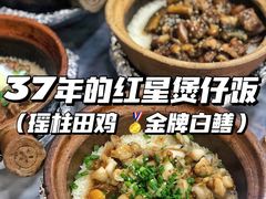 -红星光发煲仔饭(大石街店)