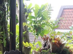 -自然餐厅(Phuket)