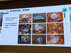 -四川大学博物馆