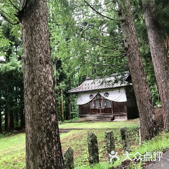 地狱谷野猿公苑