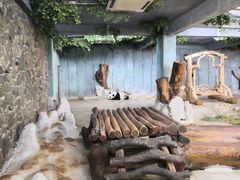 -海南热带野生动植物园