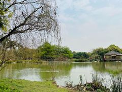 -海珠湖公园