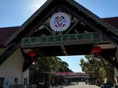 -上海海湾国家森林公园