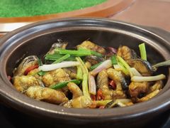 -许鲜生健康生活馆·精细潮菜(奥绅体育公园店)