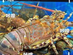 -叶氏大快活酒楼·佛山老字号
