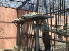 -青藏高原野生动物园
