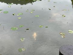 -八卦田遗址公园