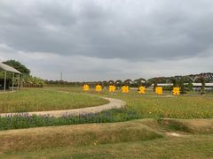 -迪茵湖田家舍生态农场