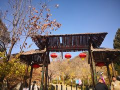 -遵化市禅林寺古银杏风景园